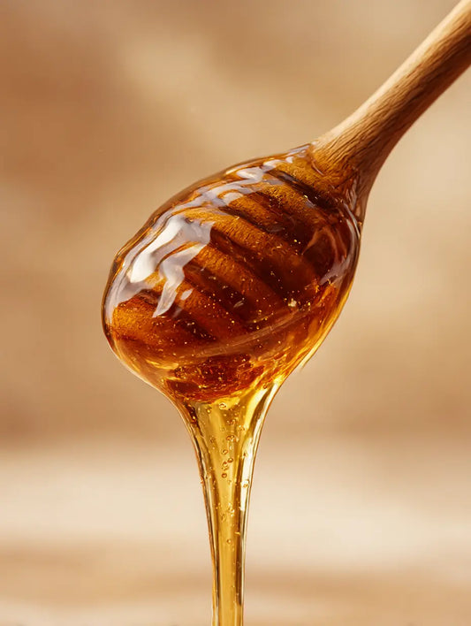 Miel de Nigelle pur F&C Natura coulant d’une cuillère en bois, texture fluide et brillante, produit artisanal du Maroc